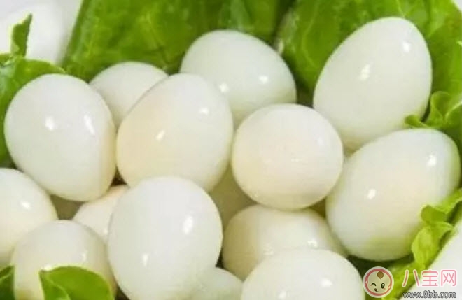 孕婦吃鵪鶉蛋會長斑嗎 孕婦鵪鶉蛋每天吃幾個(3-4個)