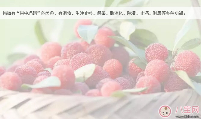 孕婦可以吃新鮮楊梅嗎 孕婦吃楊梅注意事項 孕婦可以吃新鮮楊梅嗎 孕婦吃楊梅注意事項