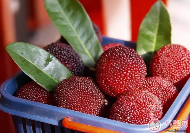 孕婦可以吃新鮮楊梅嗎 孕婦吃楊梅注意事項 孕婦可以吃新鮮楊梅嗎 孕婦吃楊梅注意事項