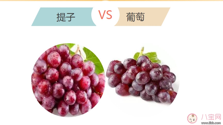 孕婦吃哪一種葡萄好 孕婦吃葡萄好還是提子好