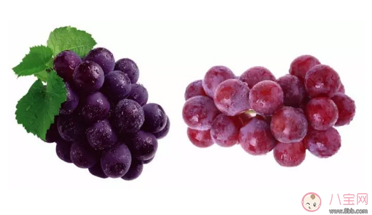 孕婦吃哪一種葡萄好 孕婦吃葡萄好還是提子好