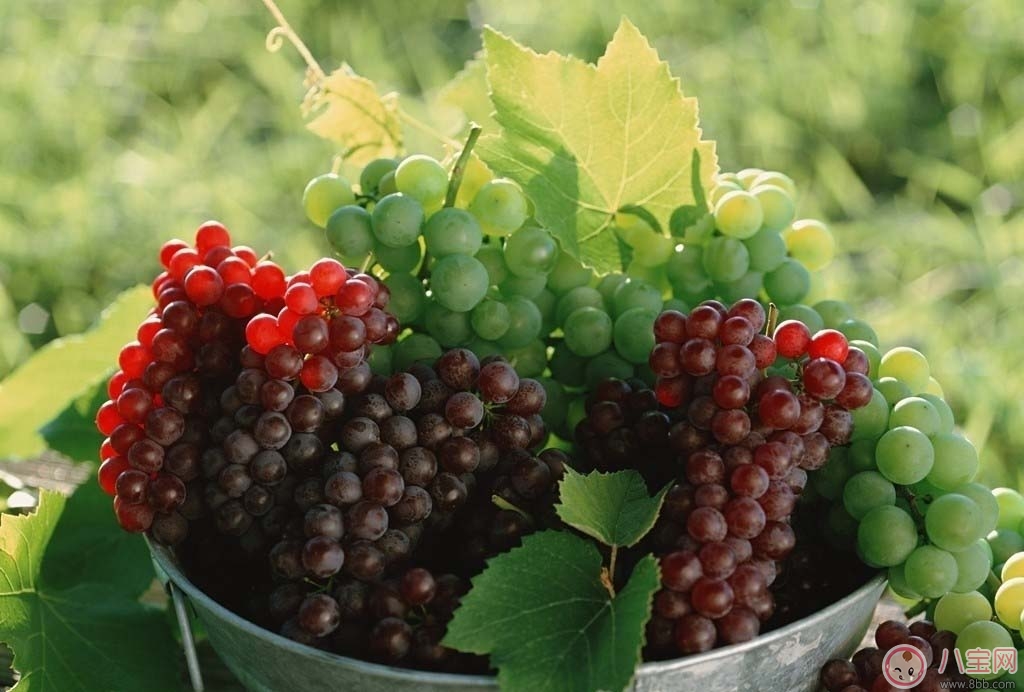 寶寶便秘不喝藥 吃葡萄就好了