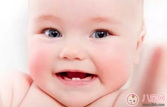 寶寶長牙期間吃什么好 寶寶長牙吃什么輔食食譜