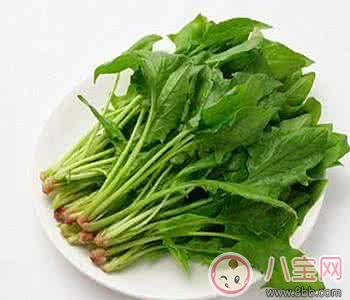 提高寶寶記憶力 這樣做輔食健康營養(yǎng)又全面