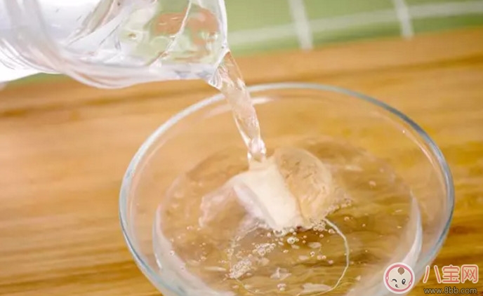 全素寶寶輔食 寶寶版素寶黃