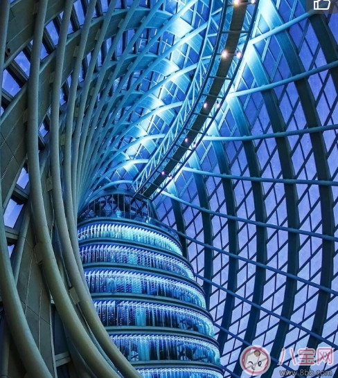 漂漂羽毛發(fā)布會(huì)明星 漂漂羽毛品牌故事