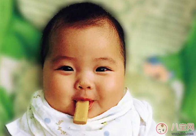 寶寶多大吃磨牙餅干 磨牙餅干幾個(gè)月開(kāi)始吃