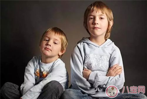 兩個孩子怎么養(yǎng)    兩孩子一定要注意的8點(diǎn)