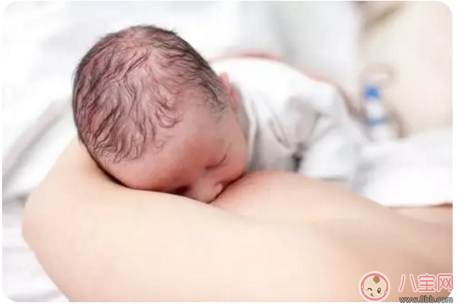 母乳喂養(yǎng)很艱難 別不小心走到坑里面去了