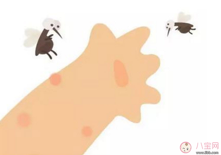寶寶被臭蟲(chóng)咬了癥狀圖片 寶寶被臭蟲(chóng)咬和蚊子咬癥狀對(duì)比圖片區(qū)別