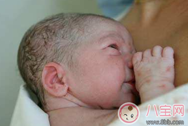 新生兒鼻尖上起了好多小白點(diǎn)是什么 寶寶鼻子上有小白點(diǎn)