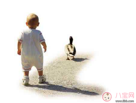 孩子過(guò)早走路危害大 什么時(shí)候教孩子走路好