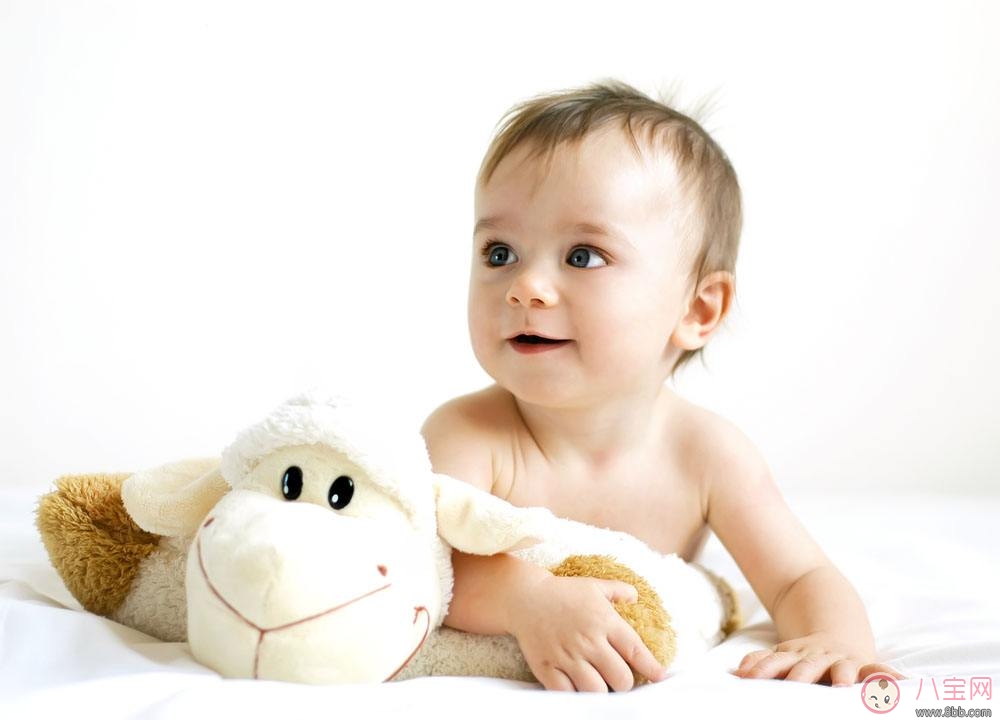 寶寶需要的營(yíng)養(yǎng)素  如何補(bǔ)充所需營(yíng)養(yǎng)素