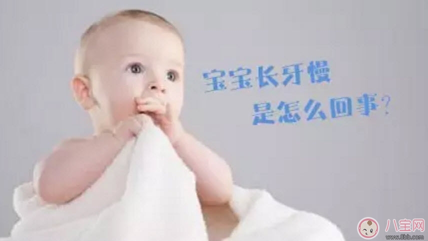 寶寶長牙慢是缺鈣嗎 寶寶長牙與補鈣的關系