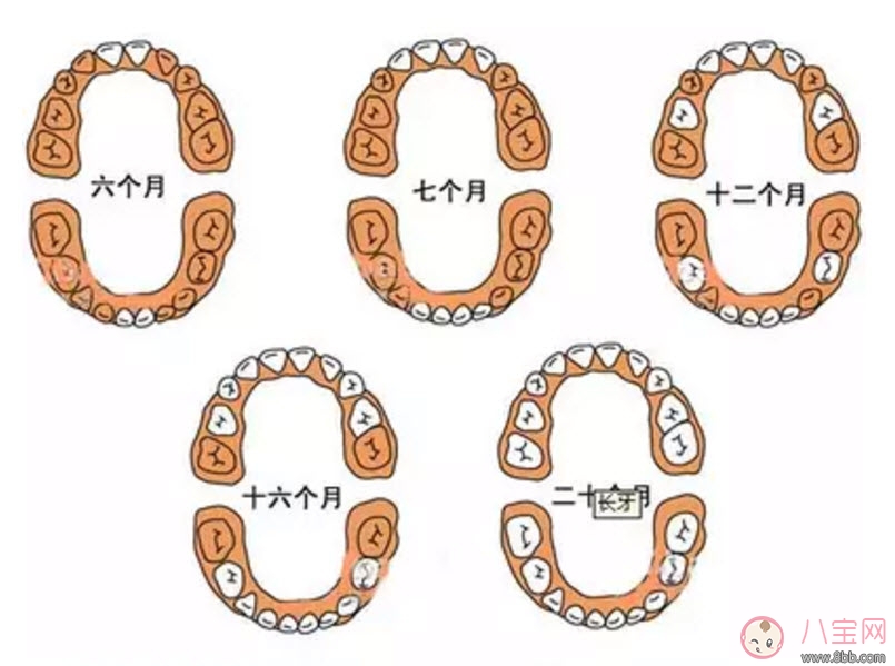 寶寶長牙慢是缺鈣嗎 寶寶長牙與補鈣的關系