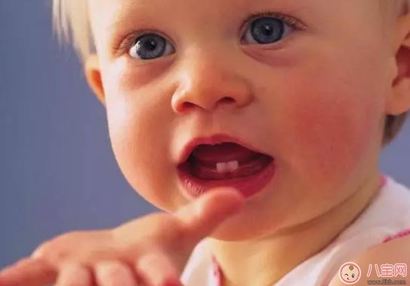 寶寶不長牙是什么原因 寶寶長牙的征兆有哪些