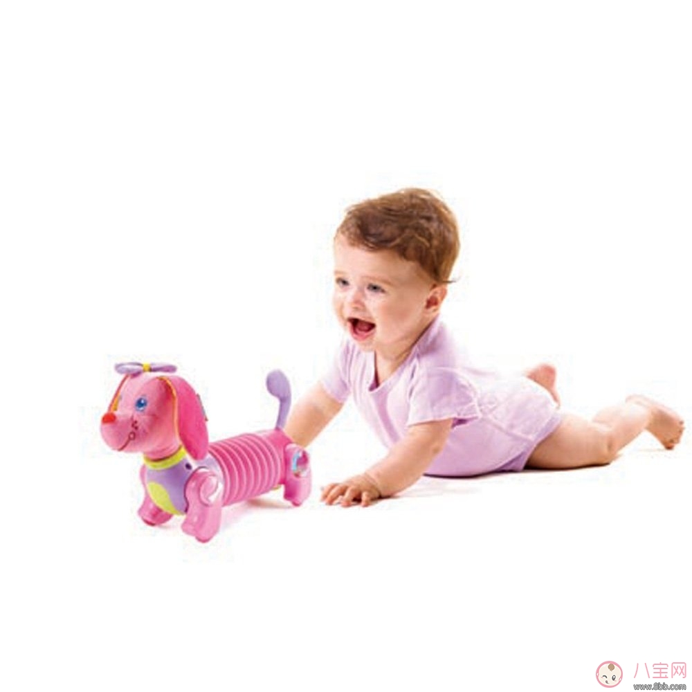 嬰幼兒爬行期  發(fā)展感知能力