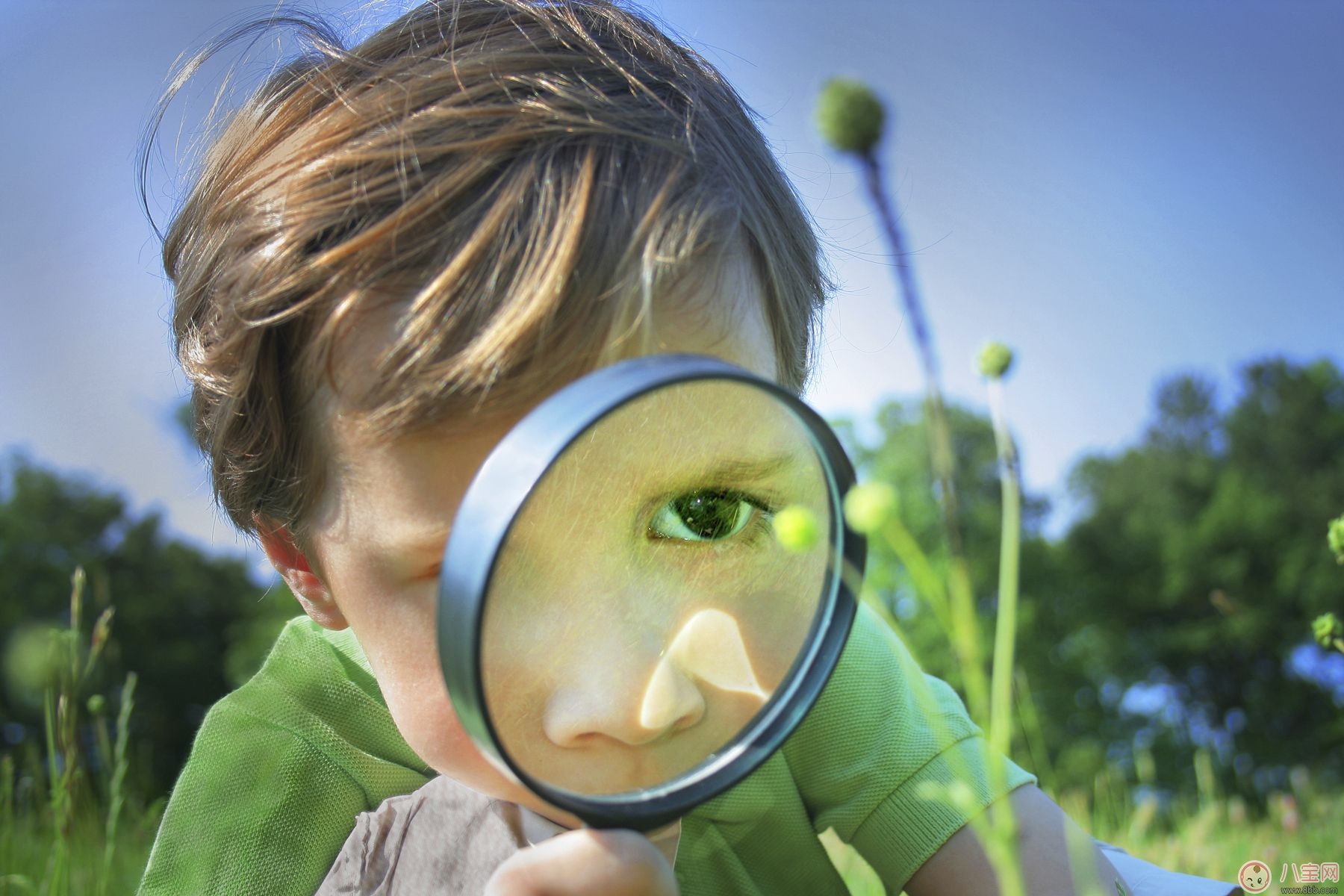 寶寶嗅覺、味覺發(fā)育及訓(xùn)練方法