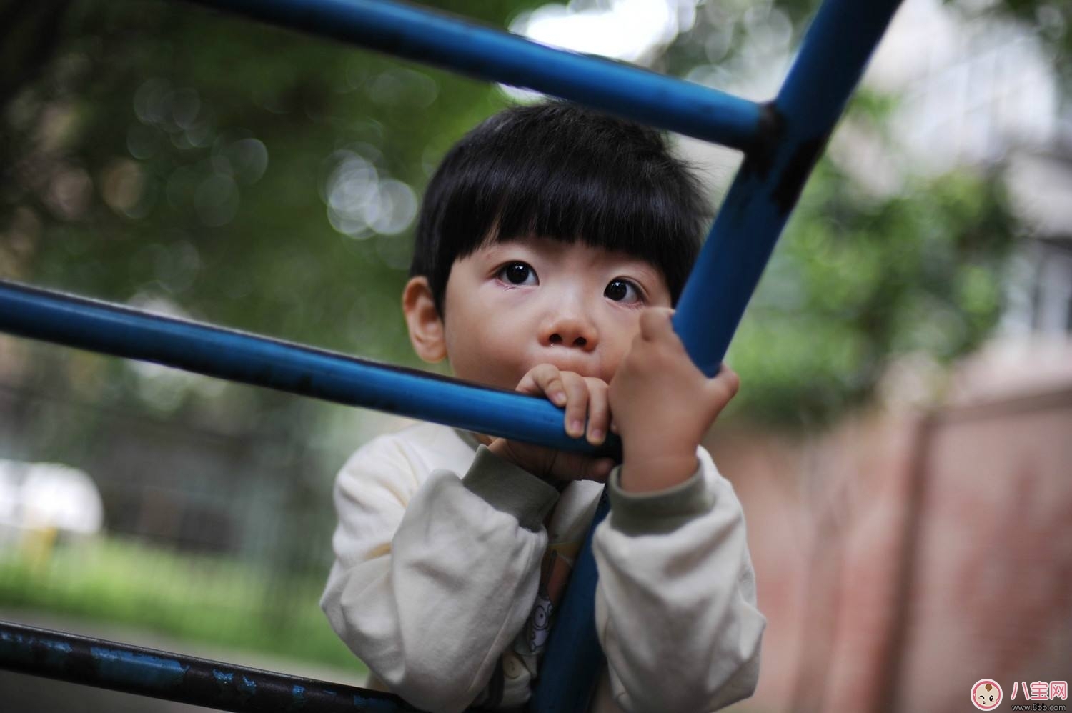 寶寶上幼兒園哭鬧怎么辦   如何改善寶寶的情況