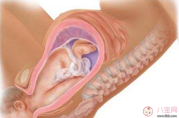 新生兒打針不哭正常嗎 寶寶打針不哭可能是觸覺(jué)遲鈍