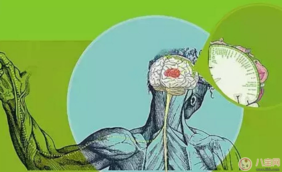 孩子觸覺遲鈍怎么辦 寶寶觸覺遲鈍訓練方法有哪些