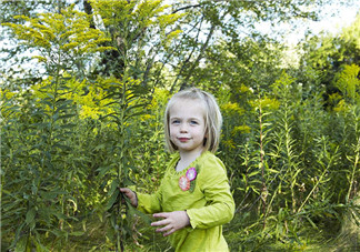 二三歲寶寶成長發(fā)展  寶寶成長有哪些問題