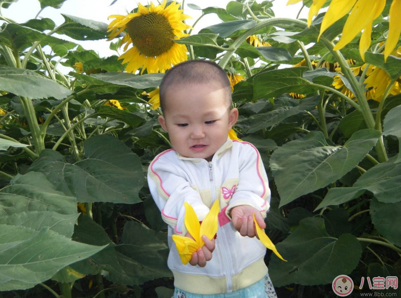 孩子一不聽話就打屁股 孩子不聽話的幾率會更高