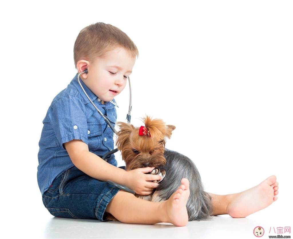 寶寶被各種寵物抓咬傷的緊急處理措施