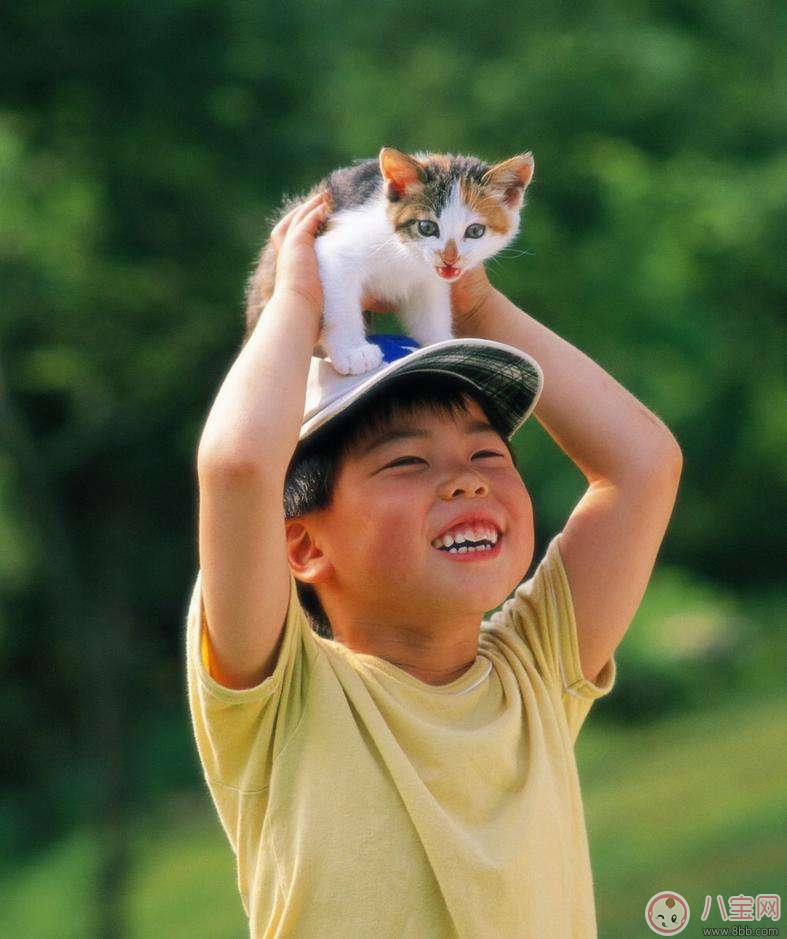 寵物攻擊性測試方法 寶寶被寵物咬傷的正確處理  