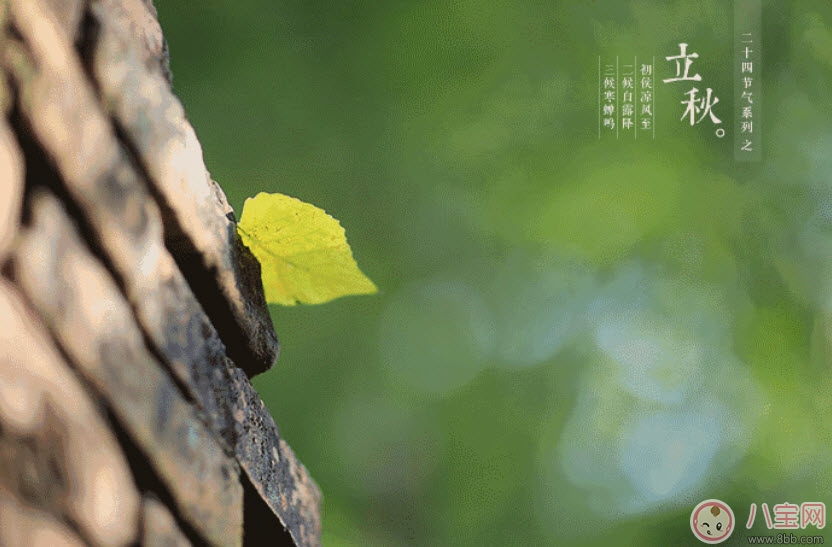 立秋之后寶寶還能吹空調(diào)嗎 立秋后寶寶如何健康的吹空調(diào) 立秋之后寶寶還能吹空調(diào)嗎 立秋后寶寶如何健康的吹空調(diào)