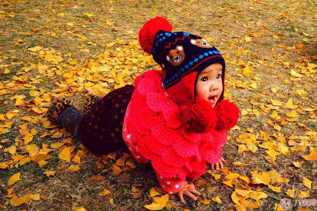 秋季預(yù)防寶寶感冒10大要點(diǎn)