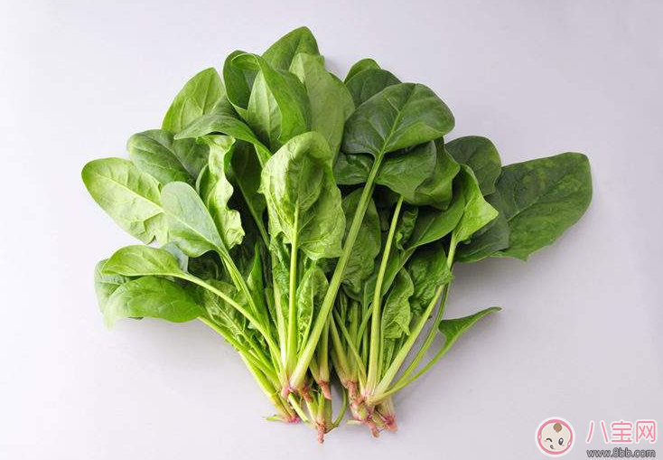 寶寶抵抗力不好怎么提高 快來看看這篇文章