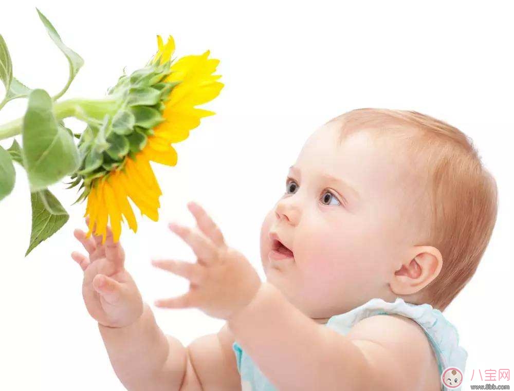 夏季新生兒皮膚敏感 如何防止成為痔瘡