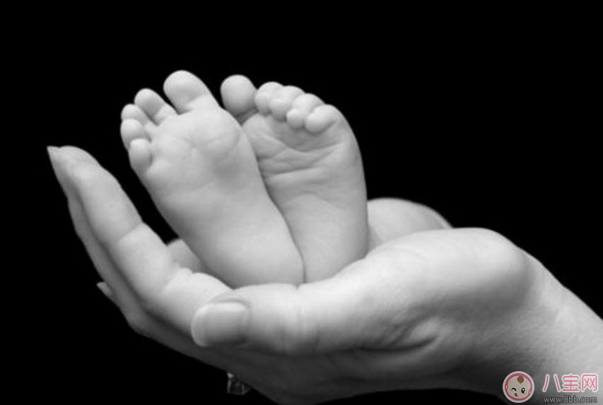 寶寶蠶豆病用藥禁忌有哪些 蠶豆病是什么病 寶寶蠶豆病用藥禁忌有哪些 蠶豆病是什么病