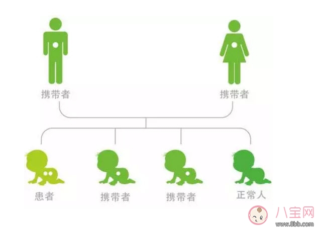 蠶豆病的遺傳規(guī)律是什么 蠶豆病母親傳給兒子父親傳給女兒