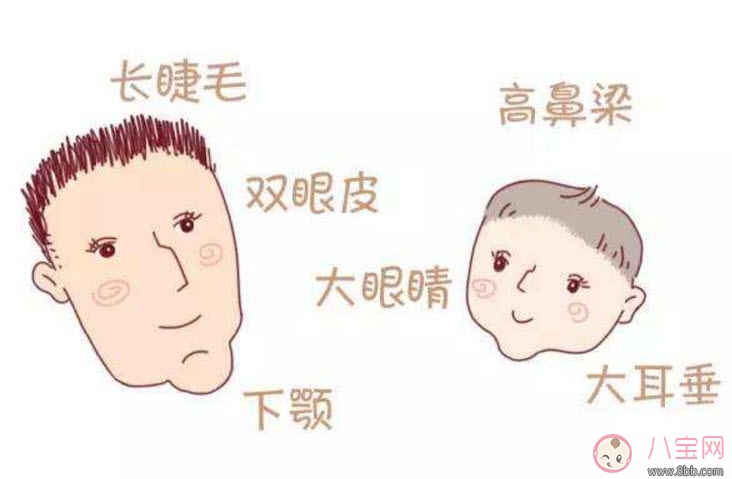 寶寶遺傳誰的基因多 寶寶的長相會遺傳誰的