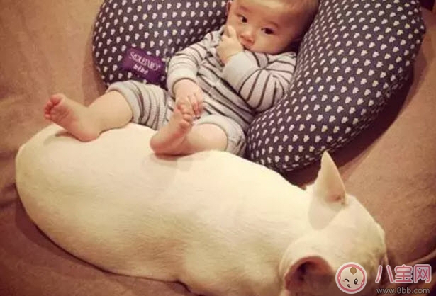 剛出生的嬰兒多少斤正常 寶寶的體重和智商有關(guān)嗎(越重智商越高) 剛出生的嬰兒多少斤正常 寶寶的體重和智商有關(guān)嗎(越重智商越高)