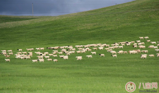 田亮森碟現(xiàn)身機(jī)場(chǎng)出行游玩 一家人出行需要準(zhǔn)備什么