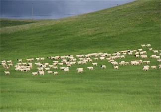 田亮森碟現(xiàn)身機場出行游玩 一家人出行需要準備什么