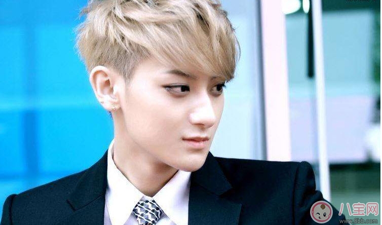 爸爸去哪兒5候選實習(xí)爸爸人氣榜，實習(xí)奶爸黃景瑜任嘉倫竇驍(前三)