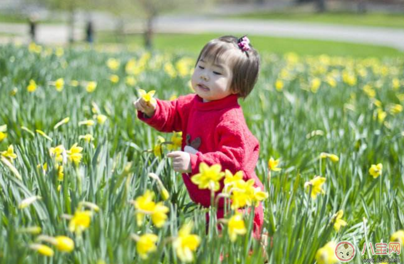 孩子暑假怎么安排 小朋友怎么過(guò)暑假比較好