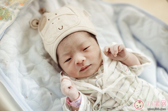 蚊子愛咬寶寶是因為寶寶是O型血? 別被謠言所騙 蚊子愛咬寶寶是因為寶寶是O型血? 別被謠言所騙