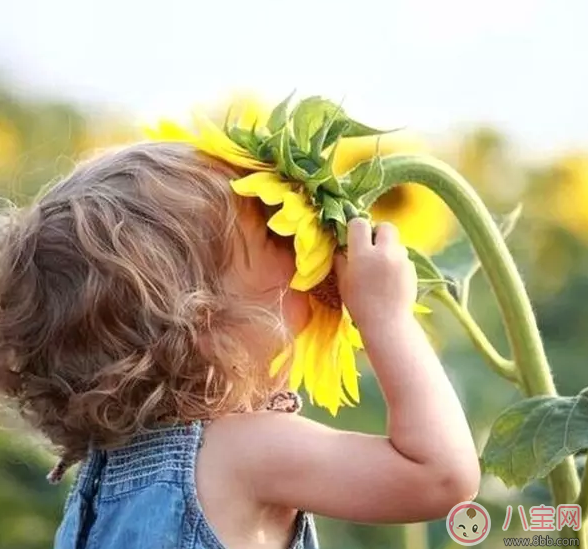 國(guó)慶節(jié)出游如何拍好一張萌寶照 怎么曬娃更加的有創(chuàng)意