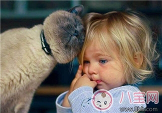 寶寶是熊孩子怎么辦？如何教育孩子不要妨礙他人呢？