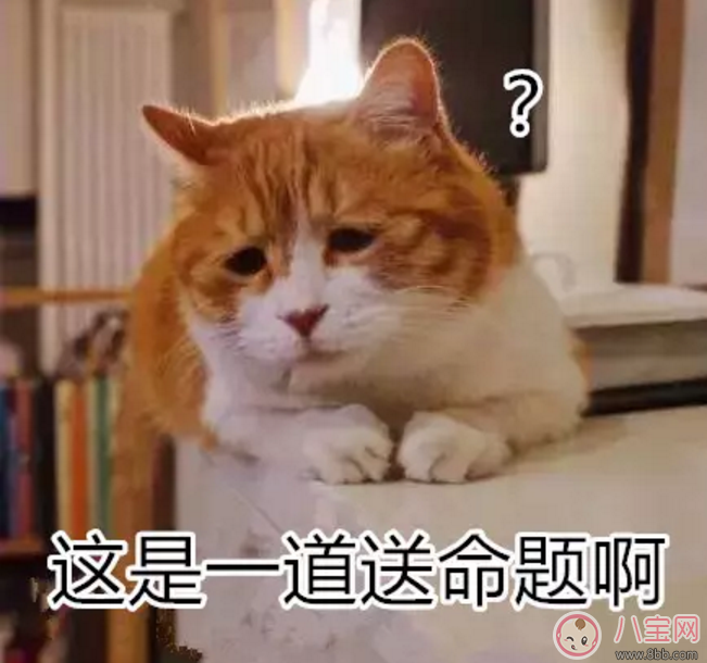 寶寶是熊孩子怎么辦？如何教育孩子不要妨礙他人呢？