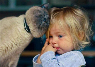 寶寶是熊孩子怎么辦？如何教育孩子不要妨礙他人呢？