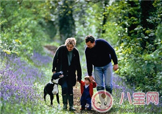 趙薇如何教育出乖巧小四月？趙薇的育兒經(jīng)是什么？