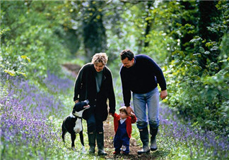 趙薇如何教育出乖巧小四月？趙薇的育兒經(jīng)是什么？