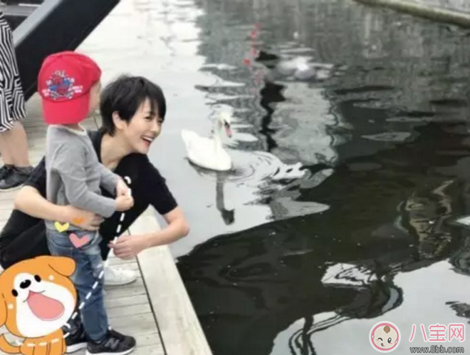 汪涵愛妻楊樂(lè)樂(lè)牽3歲小沐沐出行 國(guó)慶節(jié)出行小心孩子安全隱患