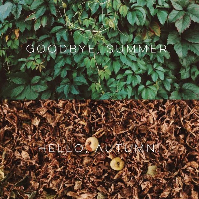 八月再見(jiàn)九月你好說(shuō)說(shuō)朋友圈 八月再見(jiàn)九月你好帶九月字圖片